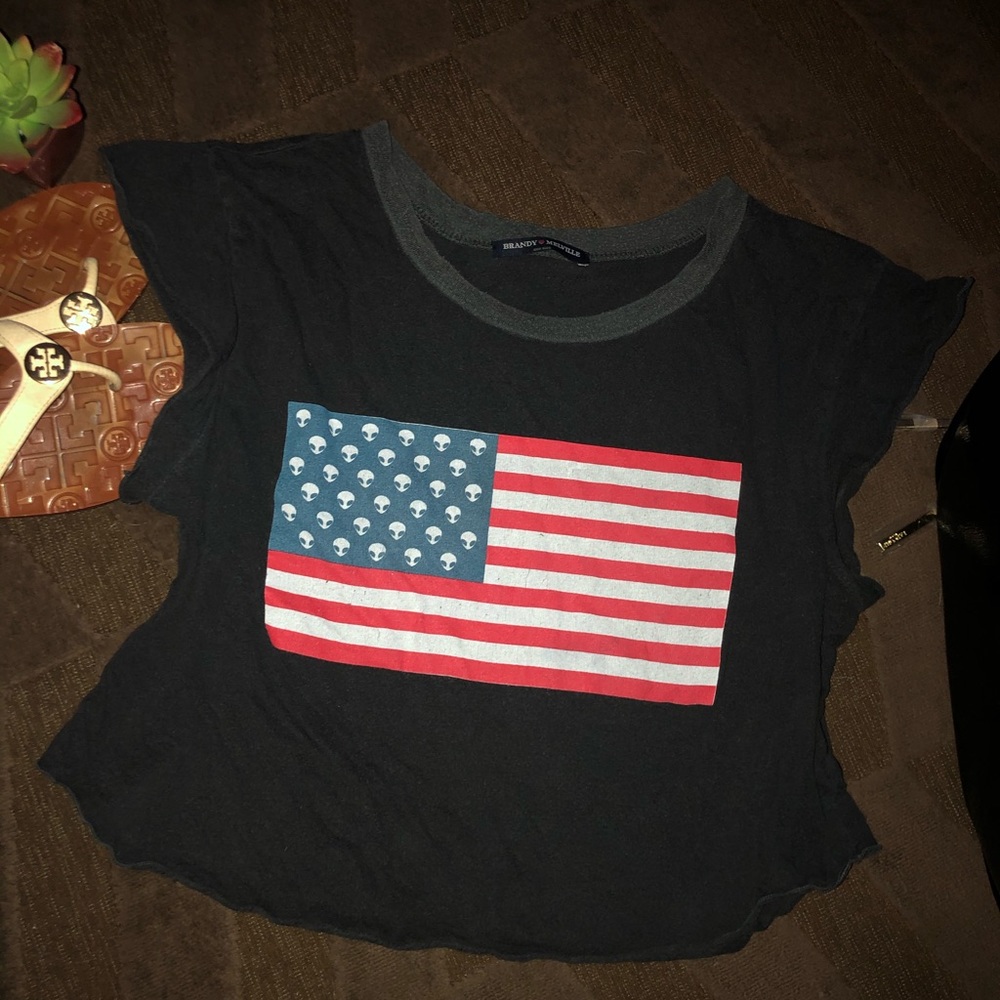 Brandy Melville Crop Top
